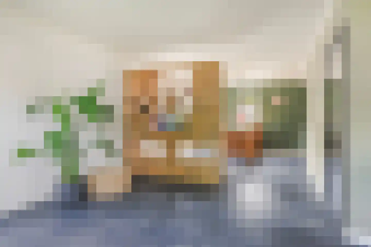 De Zwaan 21 Dokkum thumbnail 11