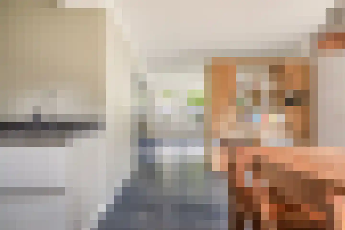 De Zwaan 21 Dokkum thumbnail 15