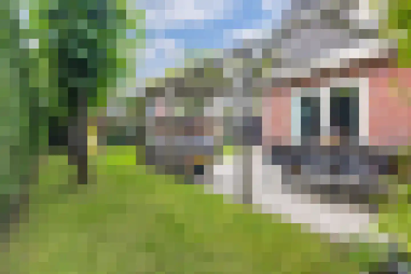 De Zwaan 21 Dokkum thumbnail 24