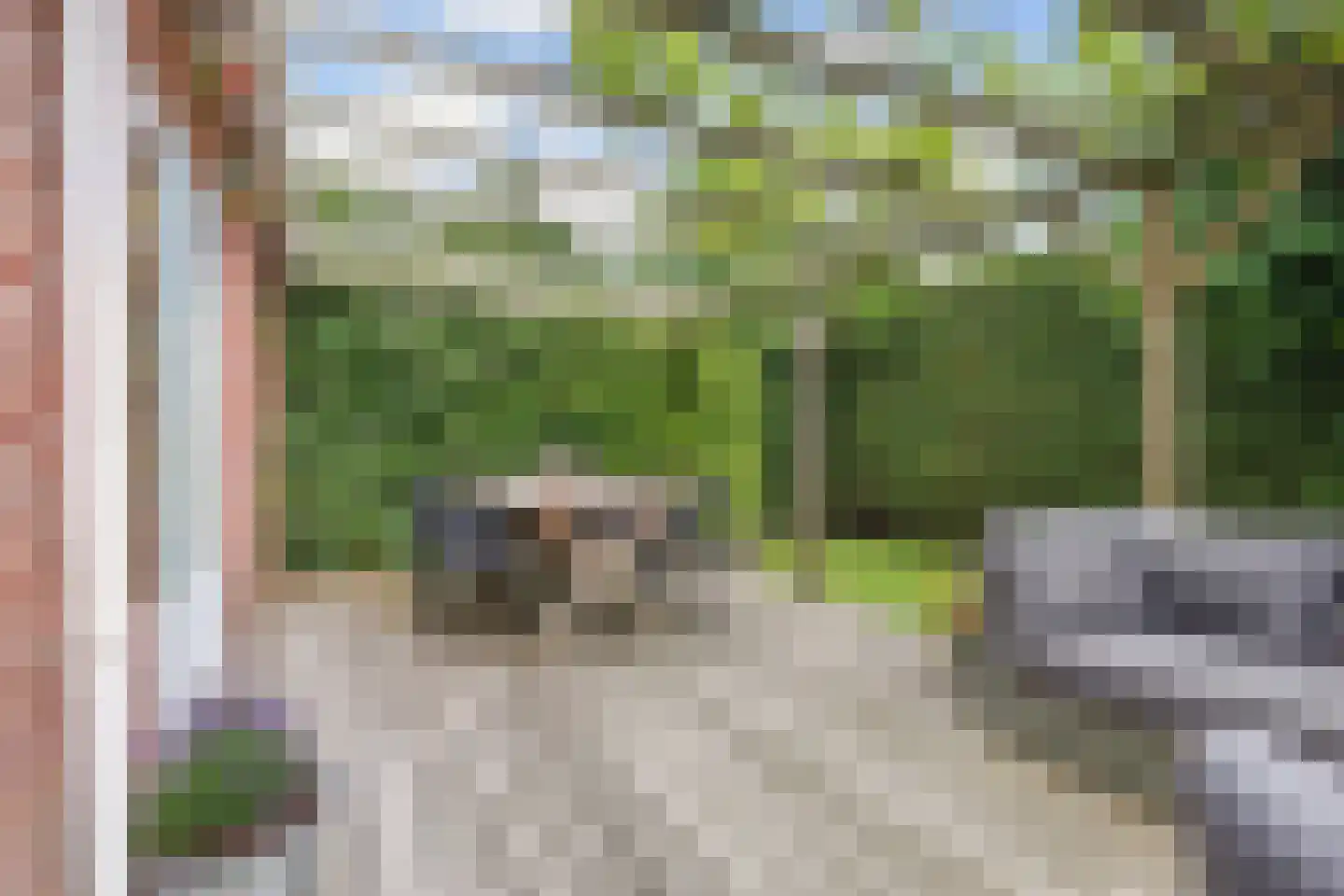 De Zwaan 21 Dokkum thumbnail 25