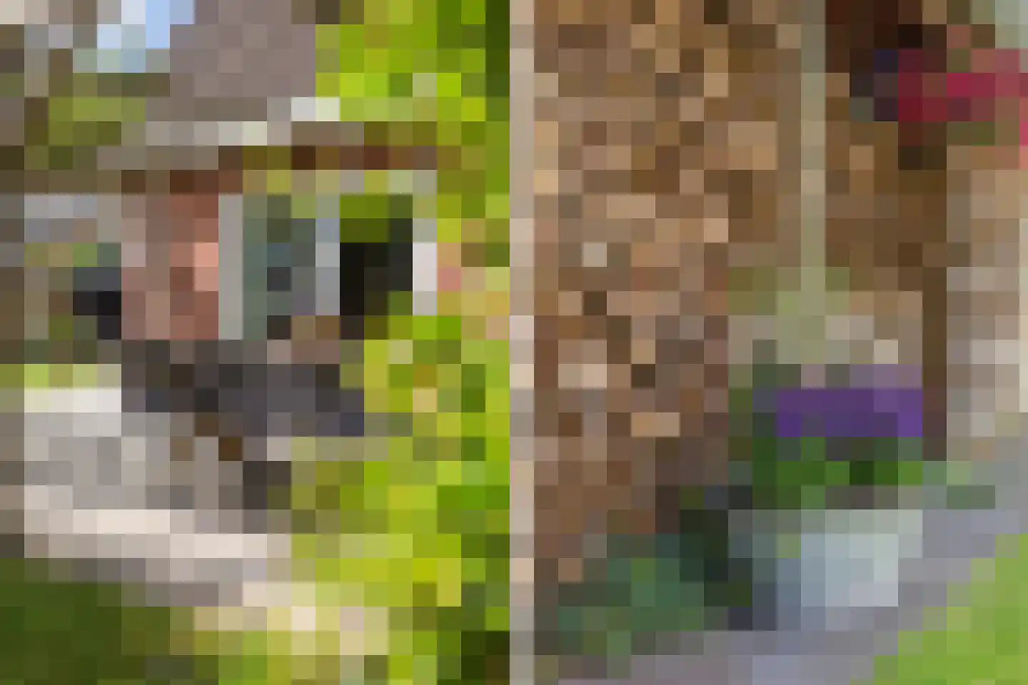 De Zwaan 21 Dokkum thumbnail 27