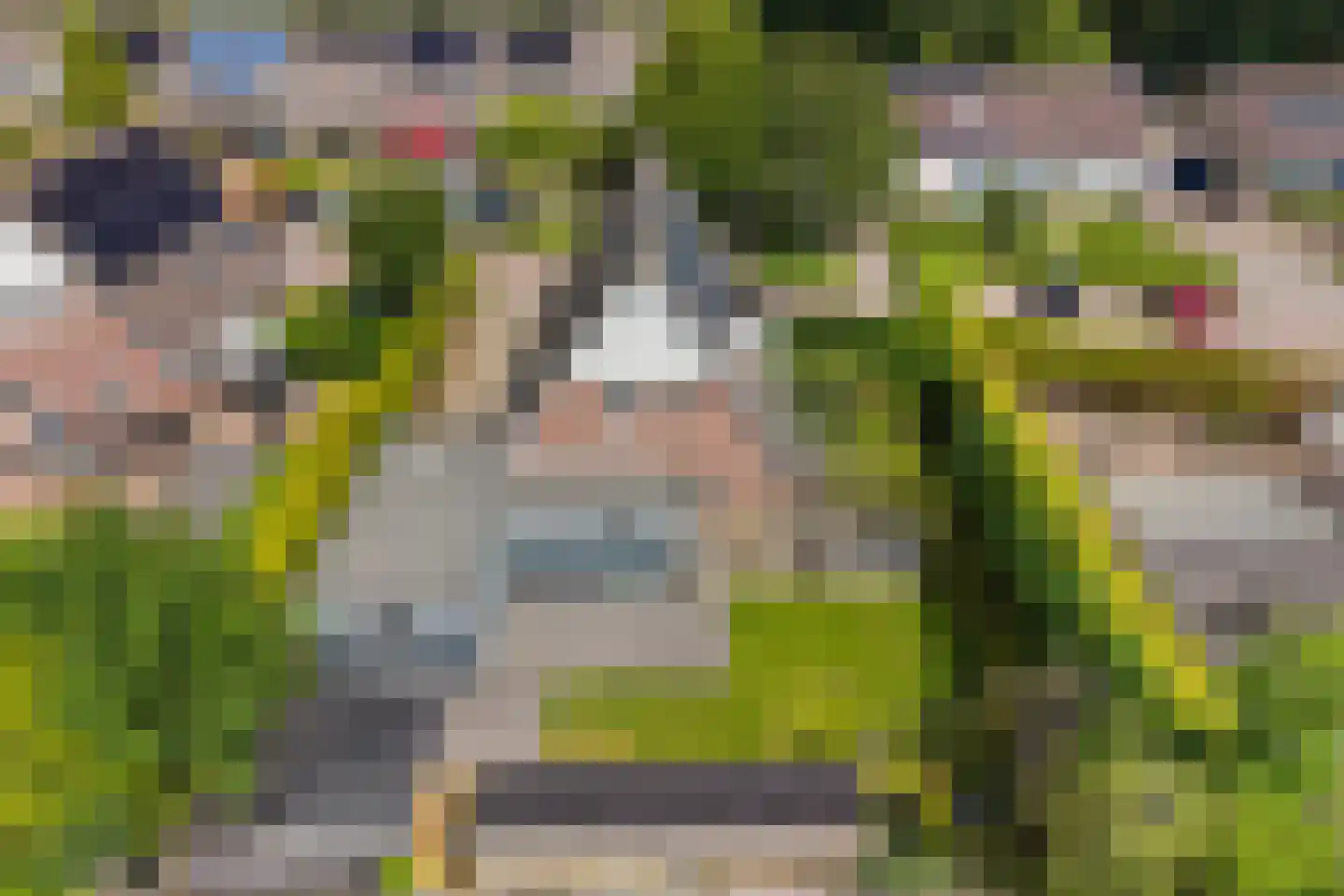 De Zwaan 21 Dokkum foto 3
