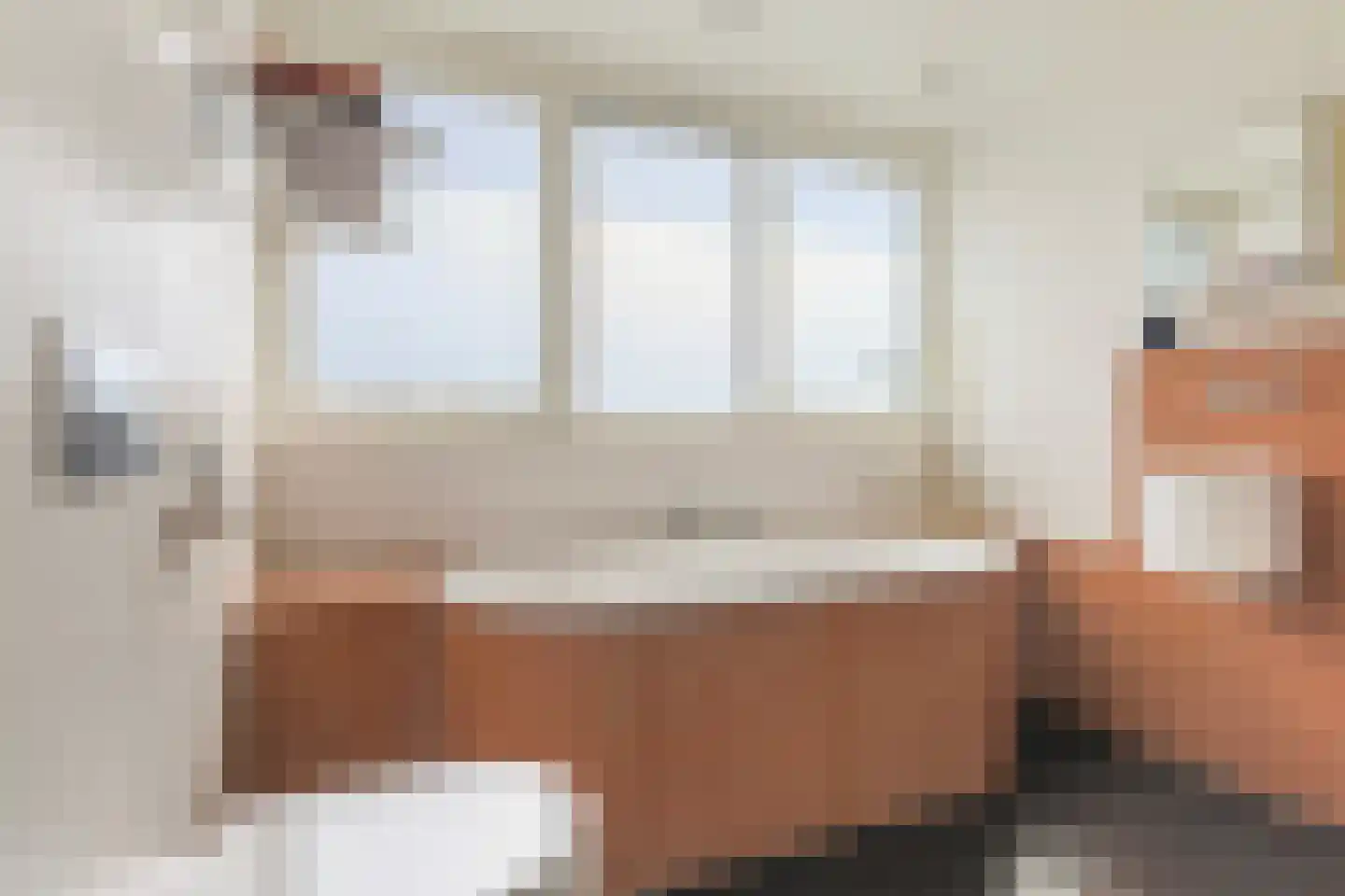 De Zwaan 21 Dokkum thumbnail 38