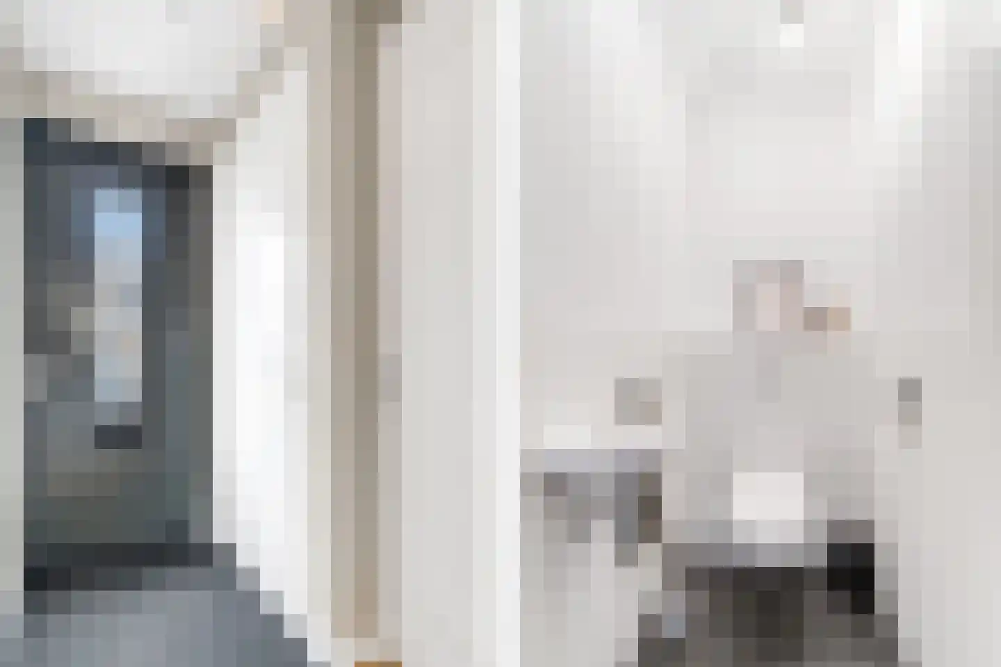 De Zwaan 21 Zwolle thumbnail 11