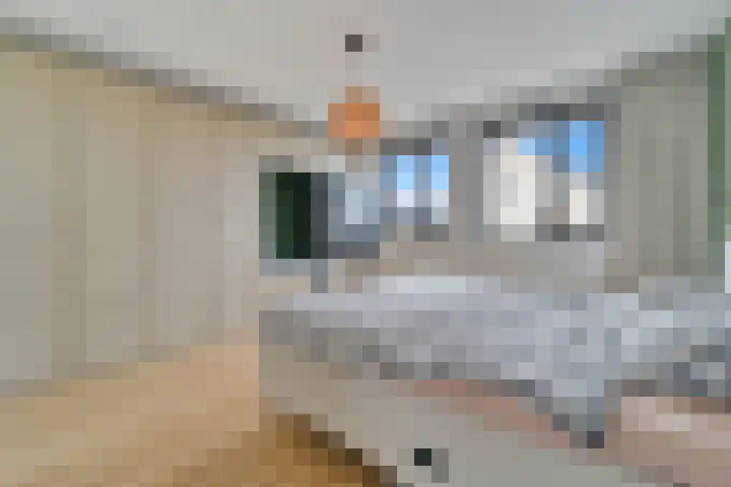 De Zwaan 21 Zwolle thumbnail 12