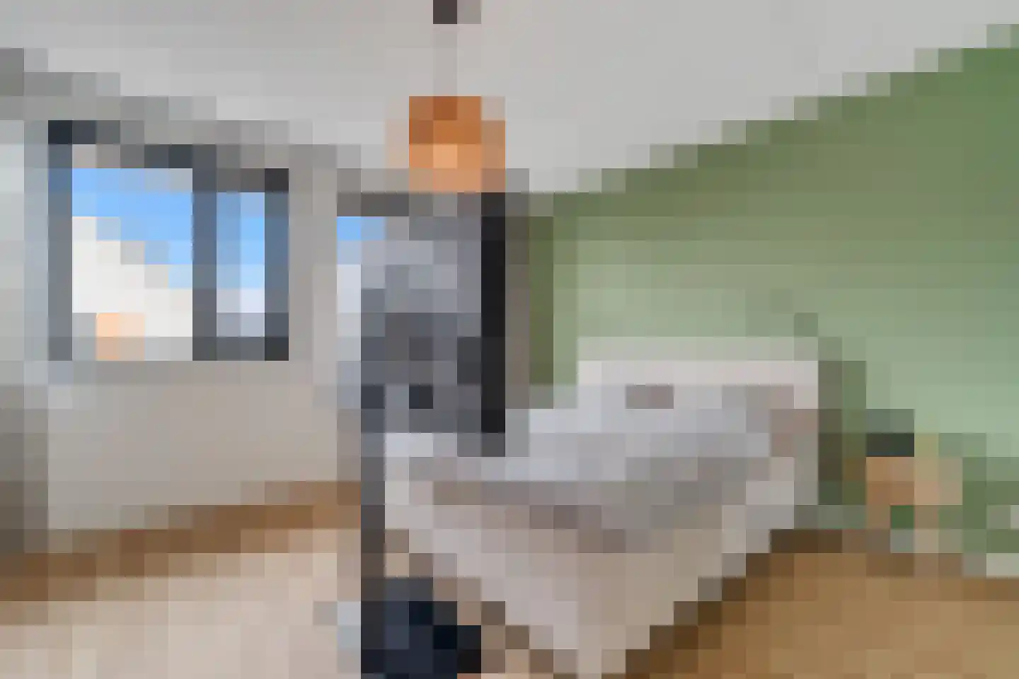De Zwaan 21 Zwolle thumbnail 14