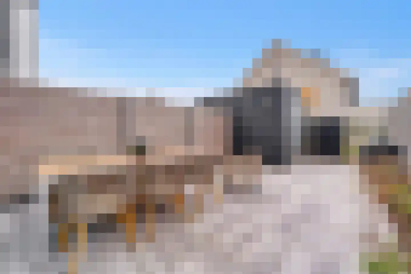 De Zwaan 21 Zwolle thumbnail 23