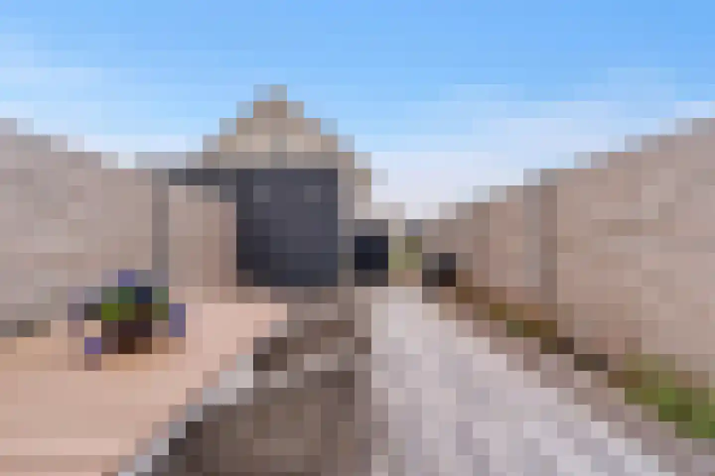 De Zwaan 21 Zwolle thumbnail 24