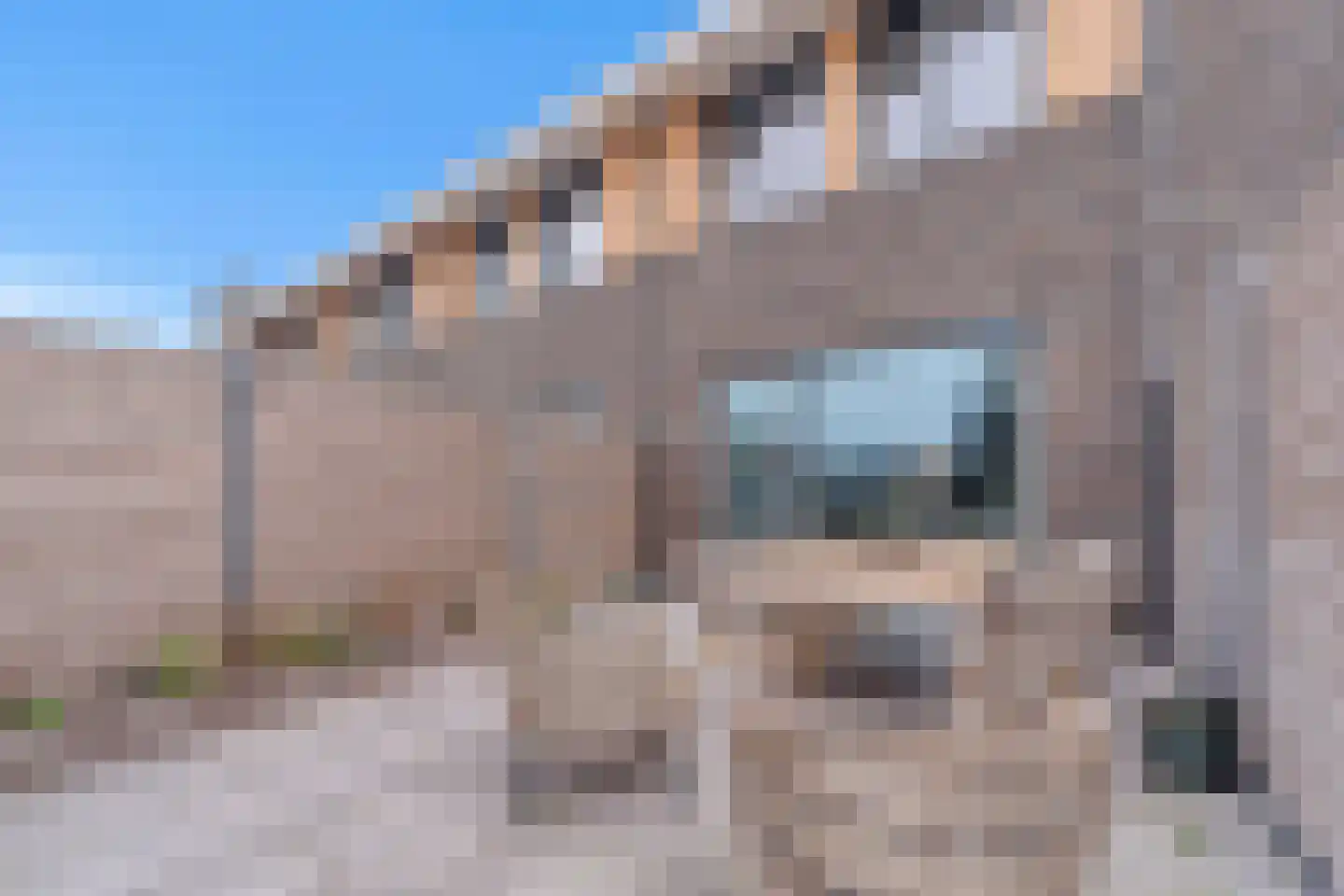 De Zwaan 21 Zwolle thumbnail 25