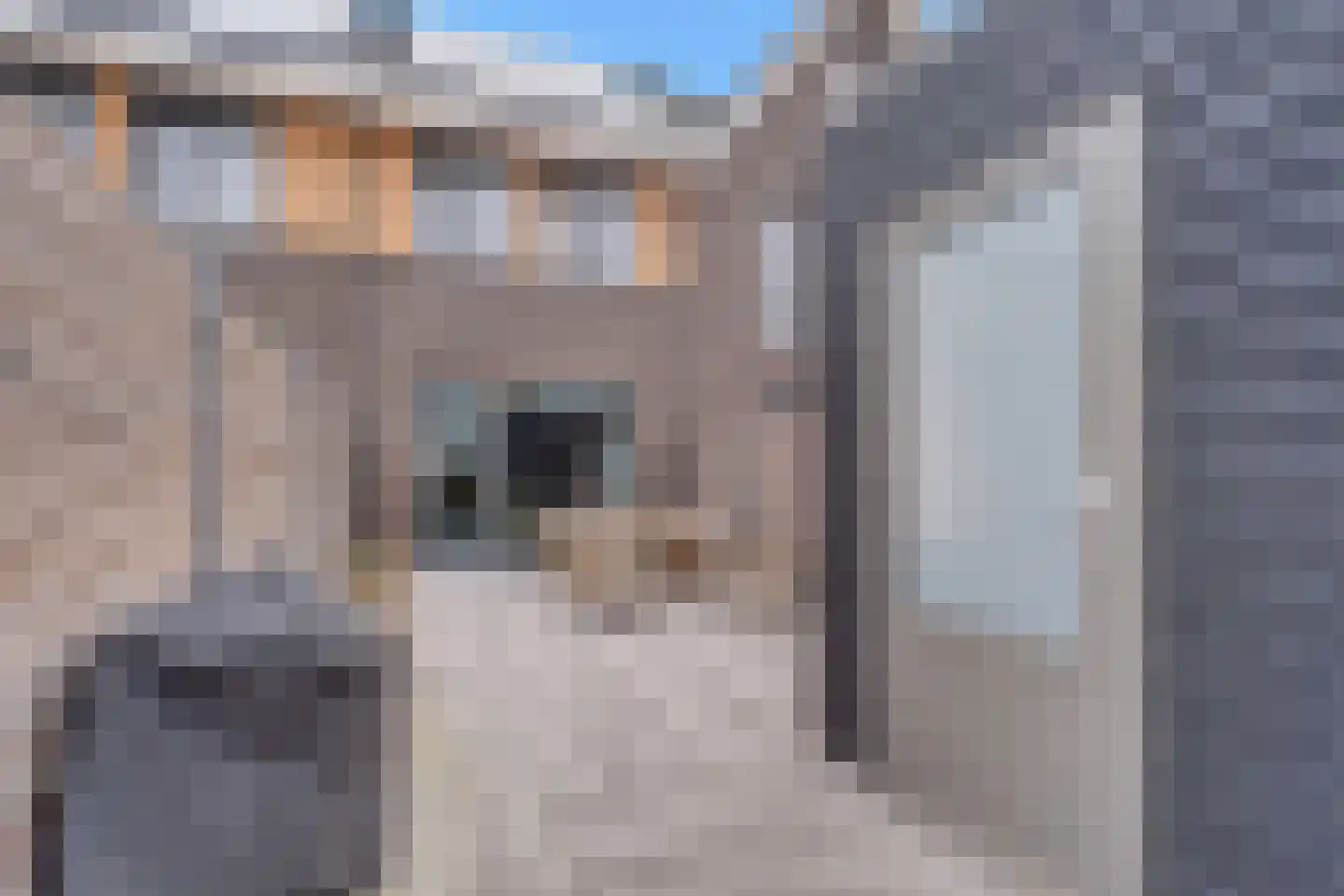 De Zwaan 21 Zwolle thumbnail 26
