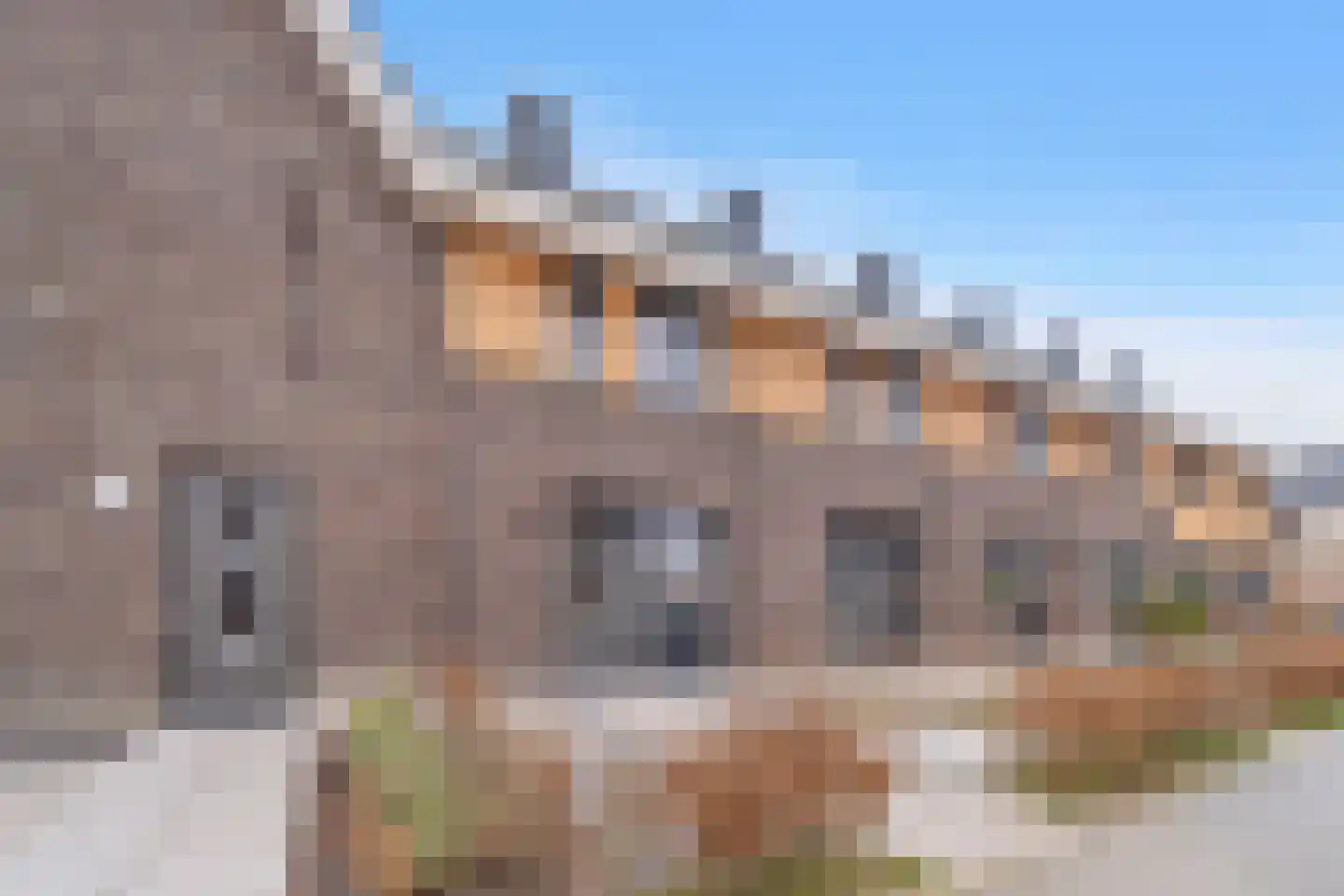 De Zwaan 21 Zwolle thumbnail 32