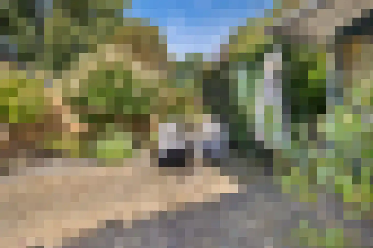 de Zwaan 3 Leidschendam thumbnail 16