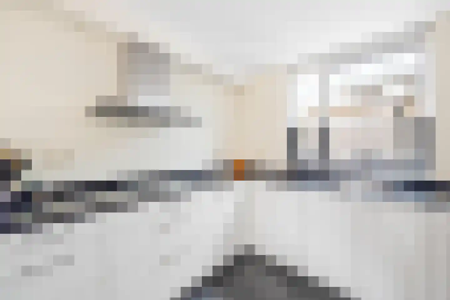de Zwaan 3 Leidschendam thumbnail 20