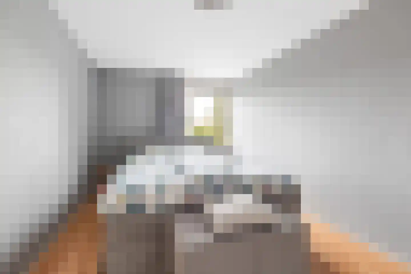 de Zwaan 3 Leidschendam thumbnail 27
