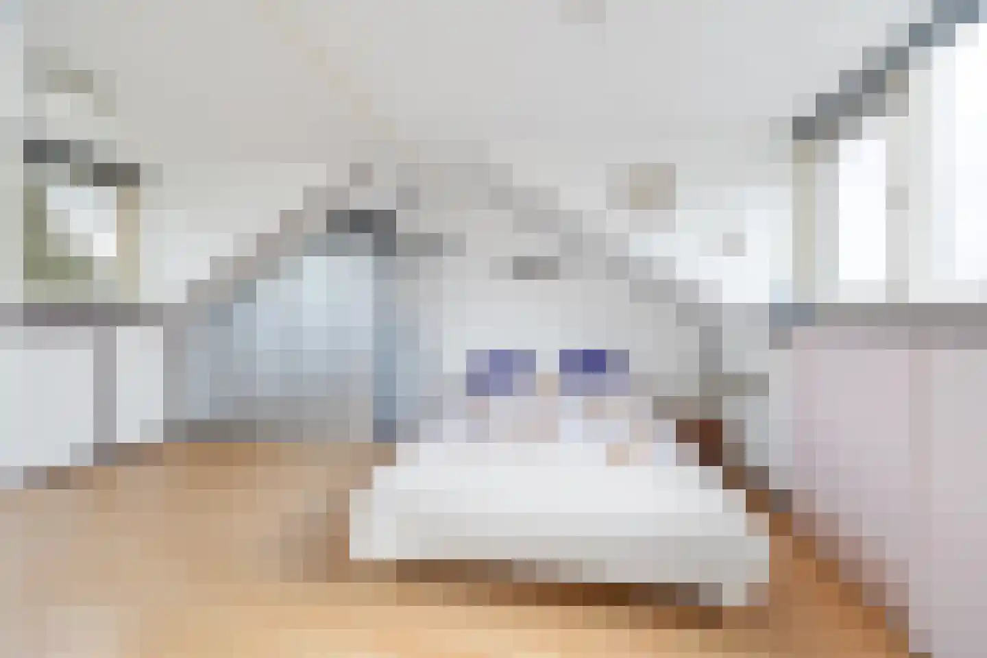 de Zwaan 3 Leidschendam thumbnail 35