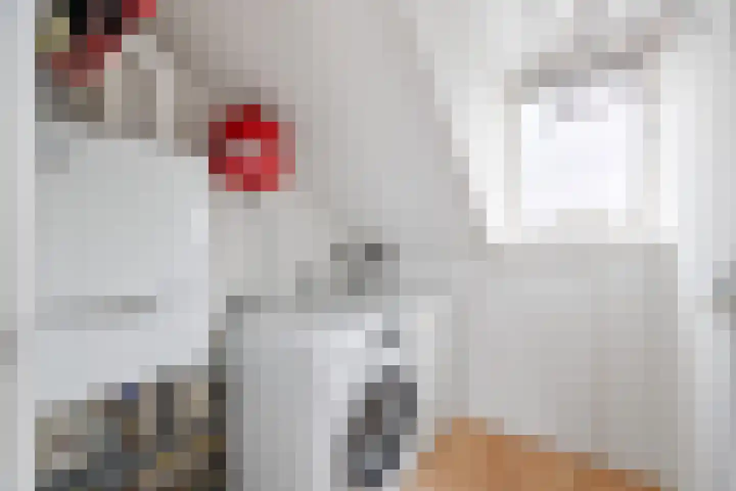 de Zwaan 3 Leidschendam thumbnail 37