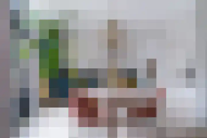 De Zwaan 34 Dokkum thumbnail 11