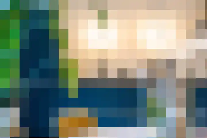 De Zwaan 34 Dokkum thumbnail 12