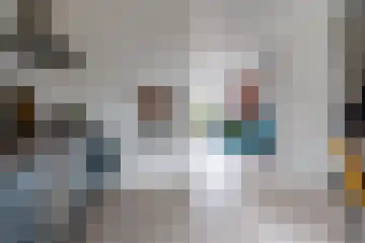 De Zwaan 34 Dokkum thumbnail 13