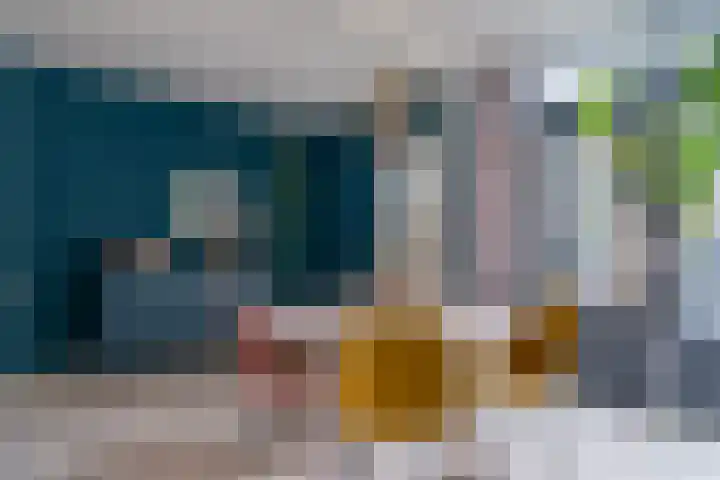 De Zwaan 34 Dokkum thumbnail 14
