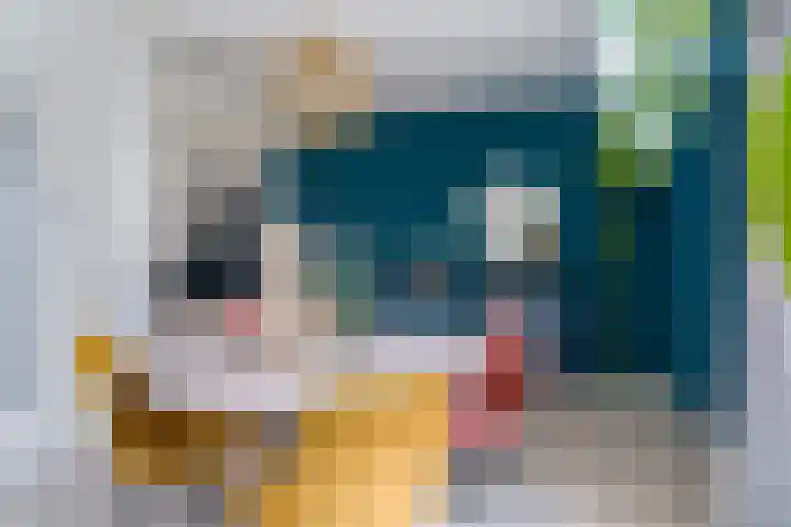 De Zwaan 34 Dokkum thumbnail 15