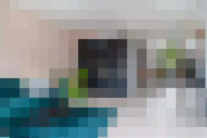De Zwaan 34 Dokkum thumbnail 18