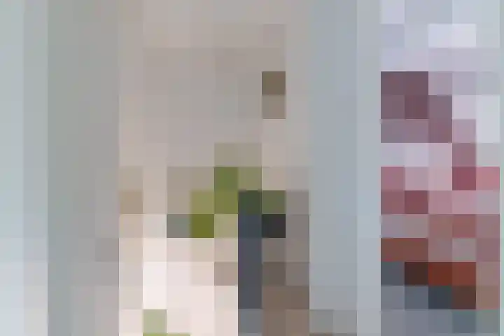 De Zwaan 34 Dokkum thumbnail 25