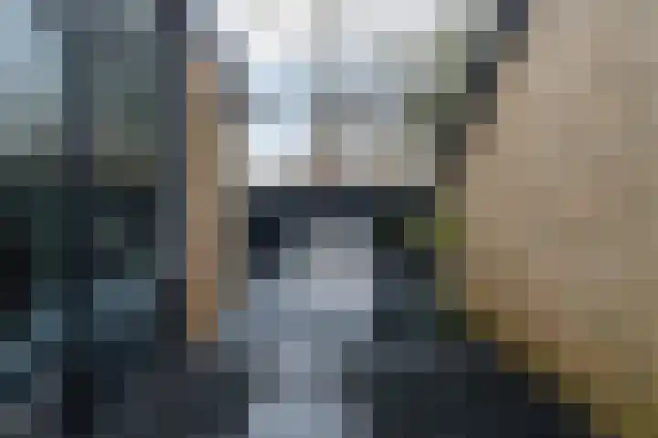 De Zwaan 34 Dokkum thumbnail 35