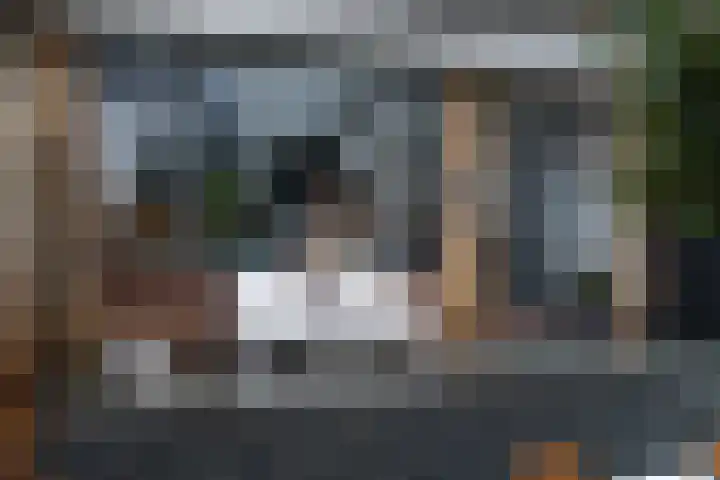 De Zwaan 34 Dokkum thumbnail 37