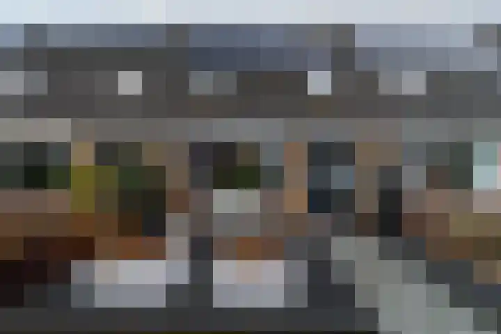 De Zwaan 34 Dokkum thumbnail 38