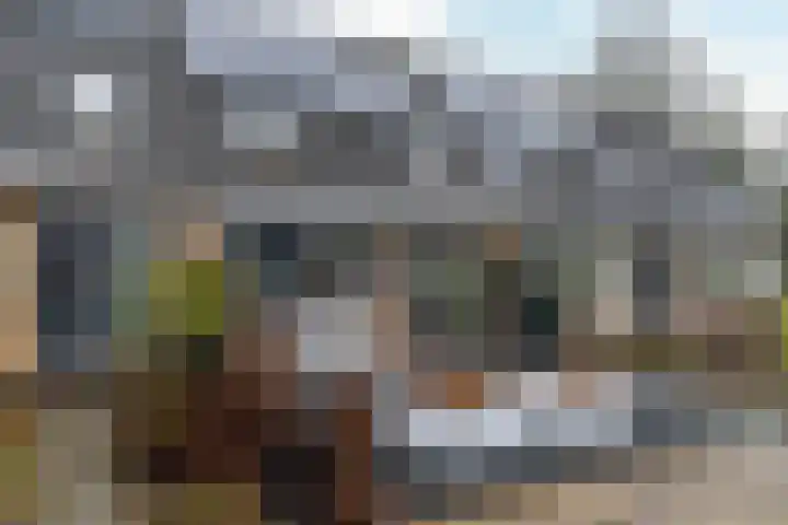 De Zwaan 34 Dokkum thumbnail 39