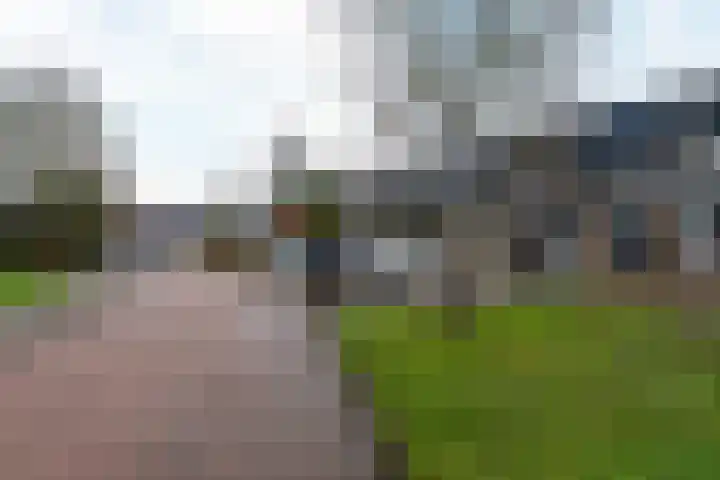 De Zwaan 34 Dokkum thumbnail 5