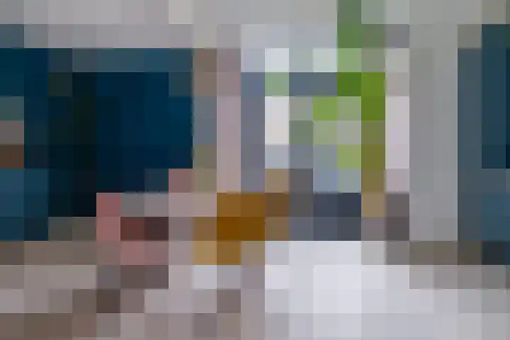 De Zwaan 34 Dokkum thumbnail 7