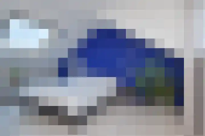 de Zwaan 36 Leidschendam thumbnail 30