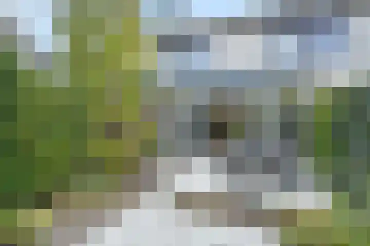 de Zwaan 36 Leidschendam thumbnail 33
