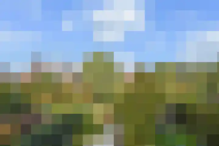 de Zwaan 36 Leidschendam thumbnail 34