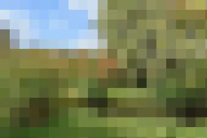 de Zwaan 36 Leidschendam thumbnail 35