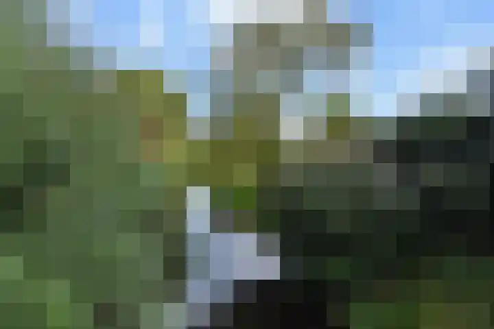 de Zwaan 36 Leidschendam thumbnail 36