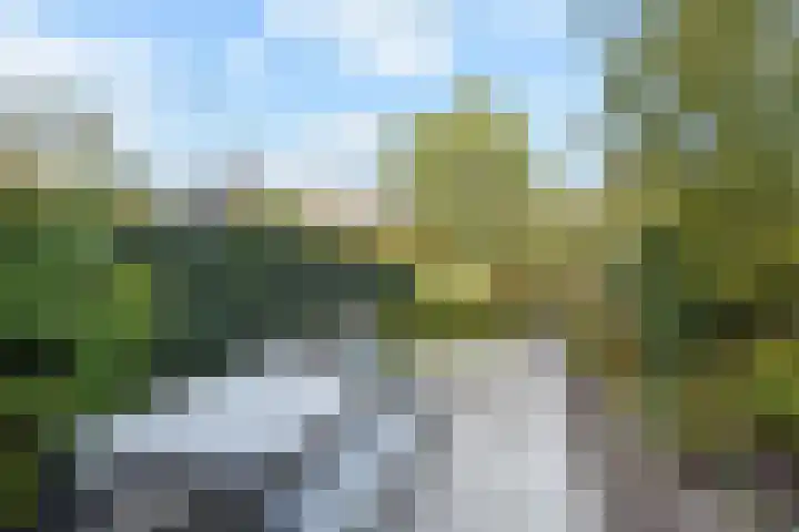 de Zwaan 36 Leidschendam thumbnail 37
