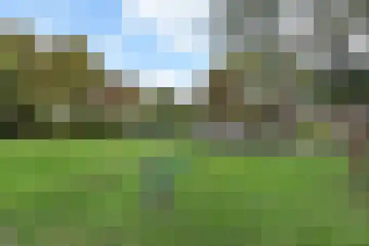 de Zwaan 36 Leidschendam thumbnail 38