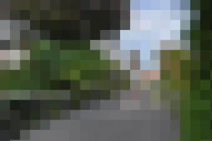 de Zwaan 36 Leidschendam thumbnail 39
