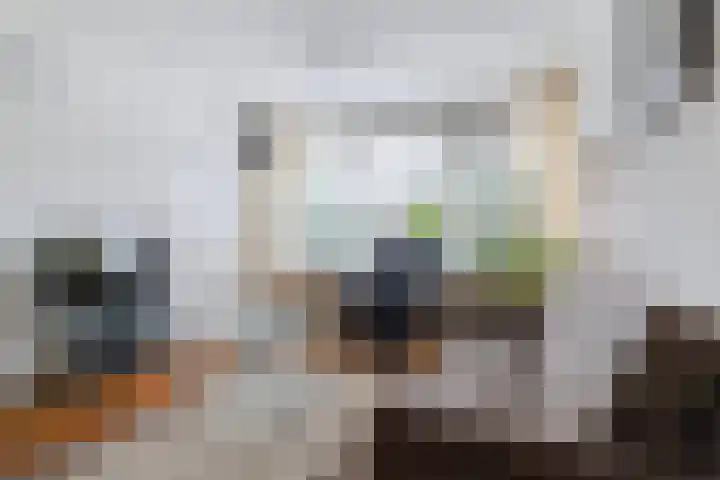 De Zwaan 8 Dokkum thumbnail 18