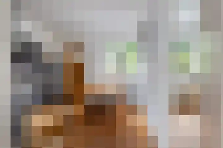 De Zwaan 8 Dokkum thumbnail 19