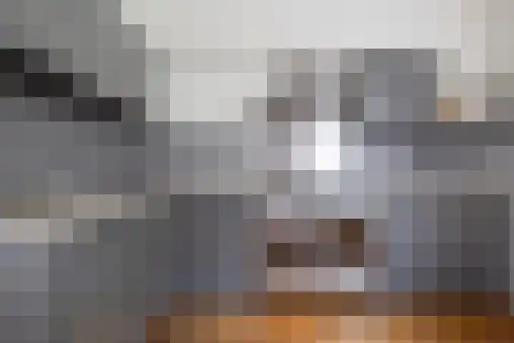 De Zwaan 8 Dokkum thumbnail 22