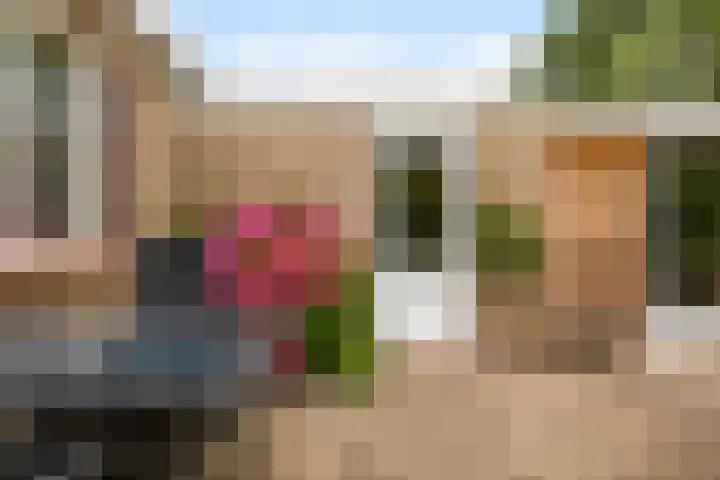 De Zwaan 8 Dokkum thumbnail 32