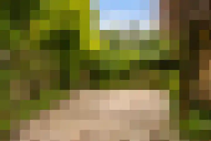 De Zwaan 8 Dokkum thumbnail 35
