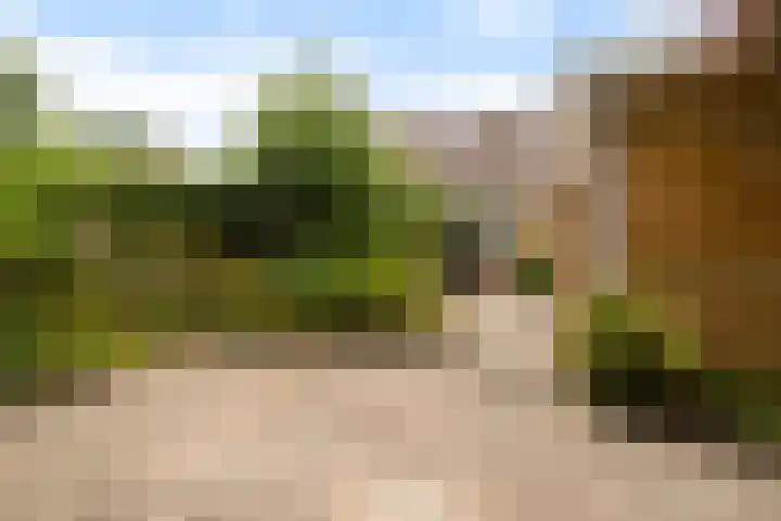 De Zwaan 8 Dokkum thumbnail 36