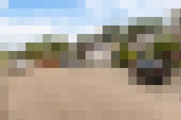 De Zwaan 8 Dokkum thumbnail 4