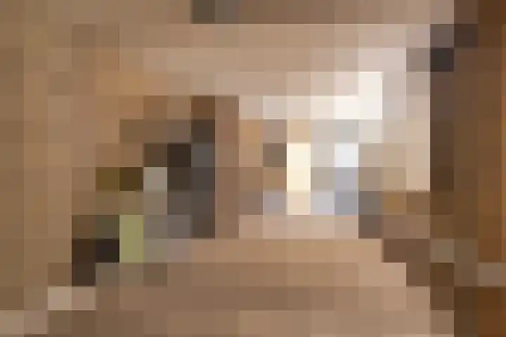 De Zwaan 8 Dokkum thumbnail 47