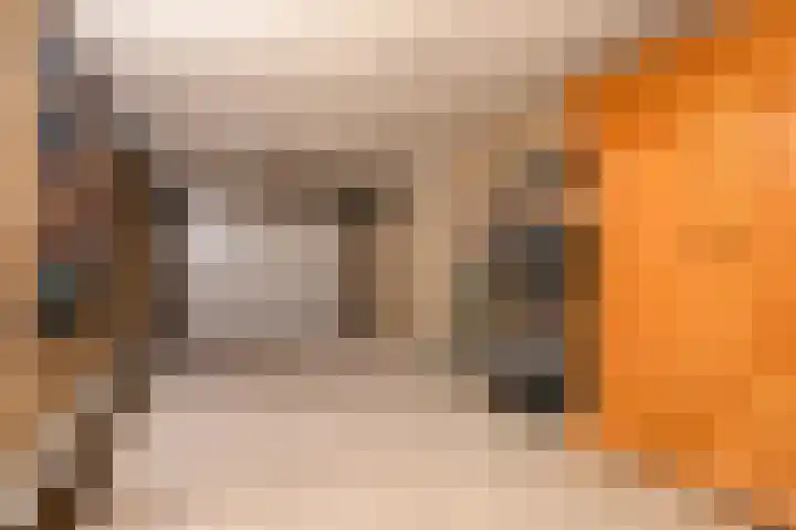 De Zwaan 8 Dokkum thumbnail 48